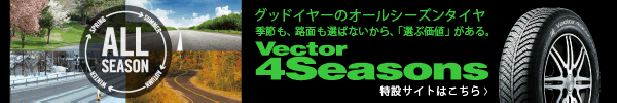 オールシーズンタイヤの開設サイトへ(外部サイト)